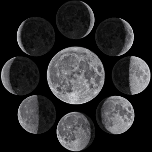 Progressed Lunation Cycle International Sidereal Astrology Association